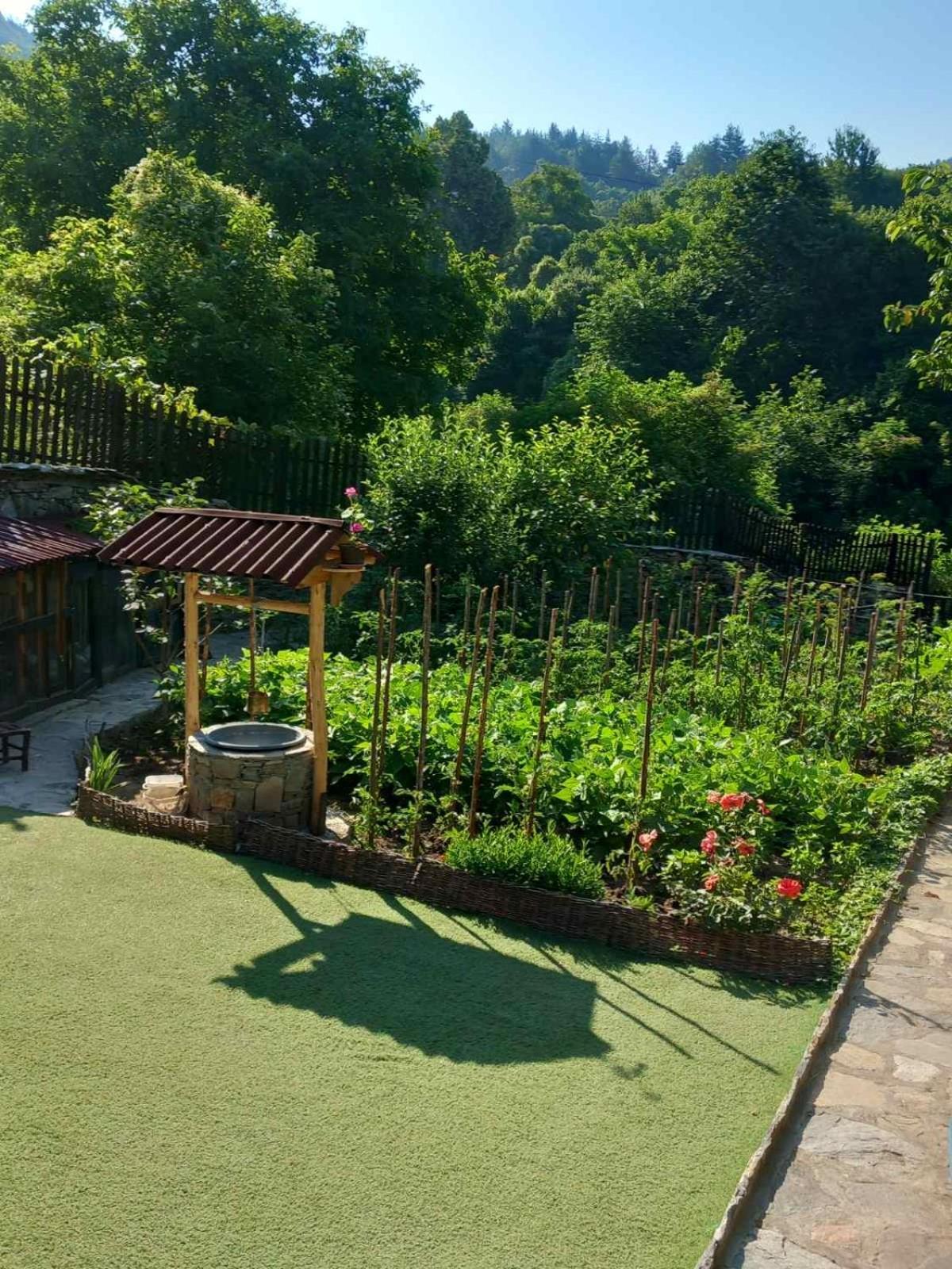 Hotel Тодорината Къща Leshten Zewnętrze zdjęcie